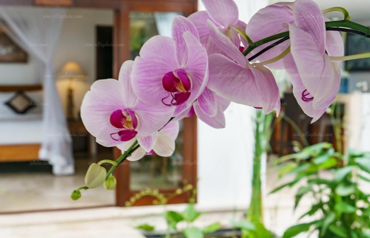 Villa Gita Candidasa Екстериор снимка